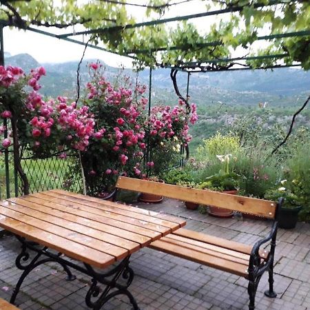 Holiday Home Carevic Gornja Brela Buitenkant foto